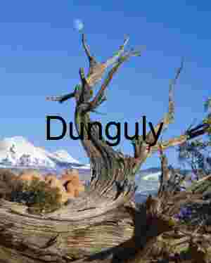 La Sal Mountains, rising moon and tree
