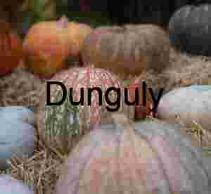 Laced gourd; John C. Campbell Folk School