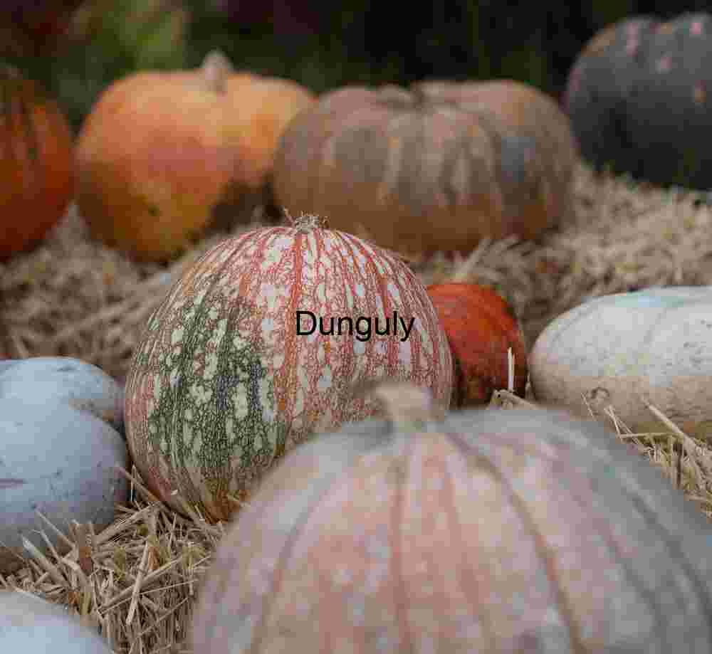 Laced gourd; John C. Campbell Folk School