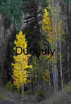 Last of the golden aspens