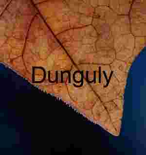 Macro Leaf: Frost Fringe, Veins, and Abstract Winter Detail