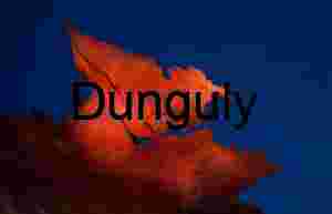 Light-painting the Raptor