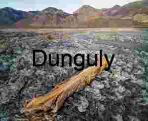 Weathered Log in Saline Valley Salt Flat - Desert Texture