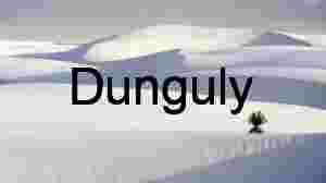 Lonely Yucca in White Sands Dunes, New Mexico Desert Landscape