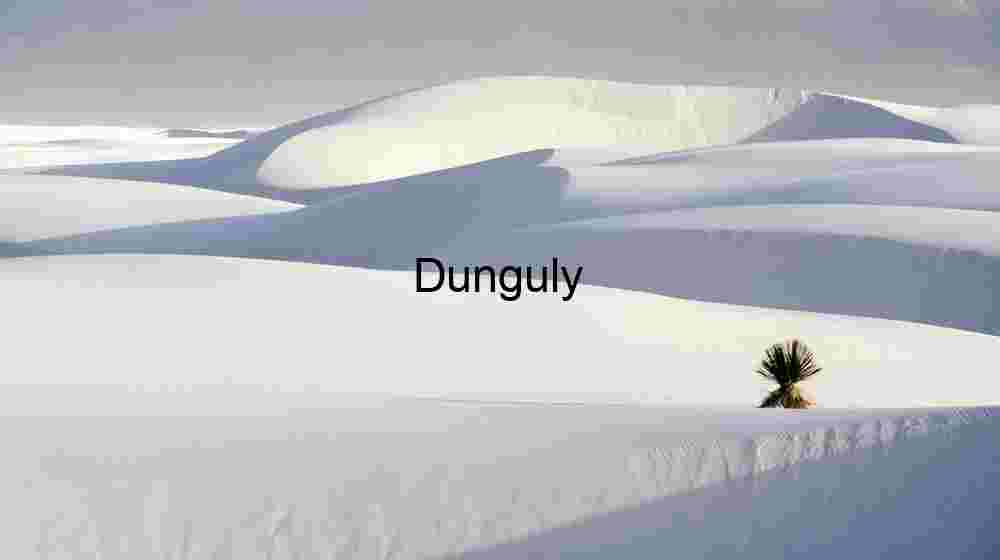 Lonely Yucca in White Sands Dunes, New Mexico Desert Landscape