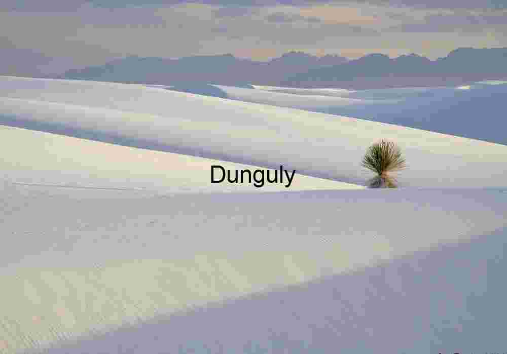 Lonely Yucca