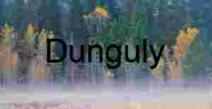 Yosemite Meadow Mist: Fall Color and Aspen Trees at Dawn