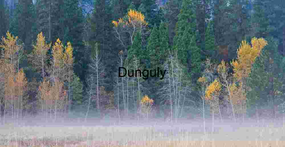Yosemite Meadow Mist: Fall Color and Aspen Trees at Dawn