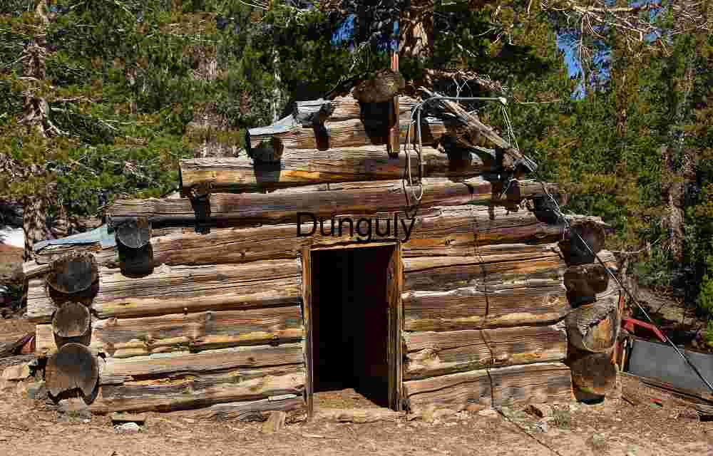 Rustic Log Cabin Mine Meat Shed - Lee Vining History