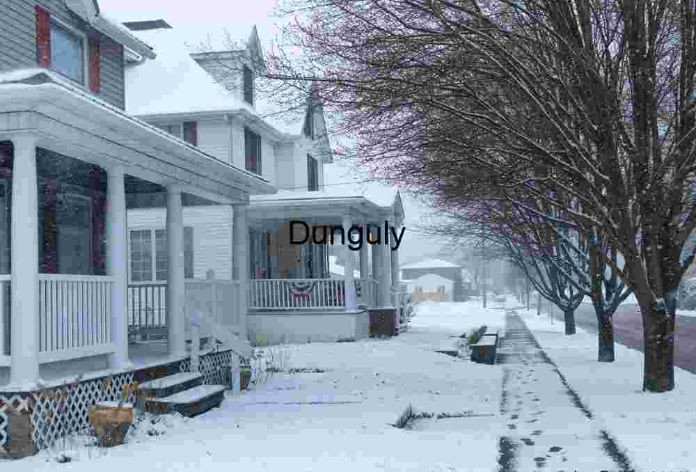 Menora tree, Confluence; GAP trail