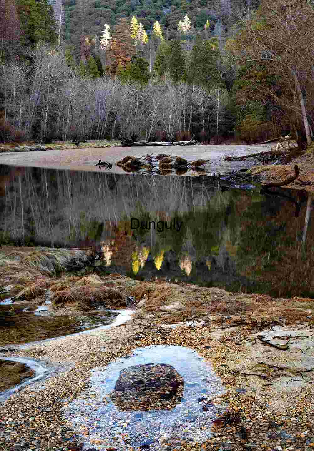 Merced River Ice Ring: Winter Reflection and Gravel Shore