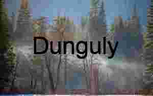 Morning Mist & Sunbeams in Yosemite Forest, California