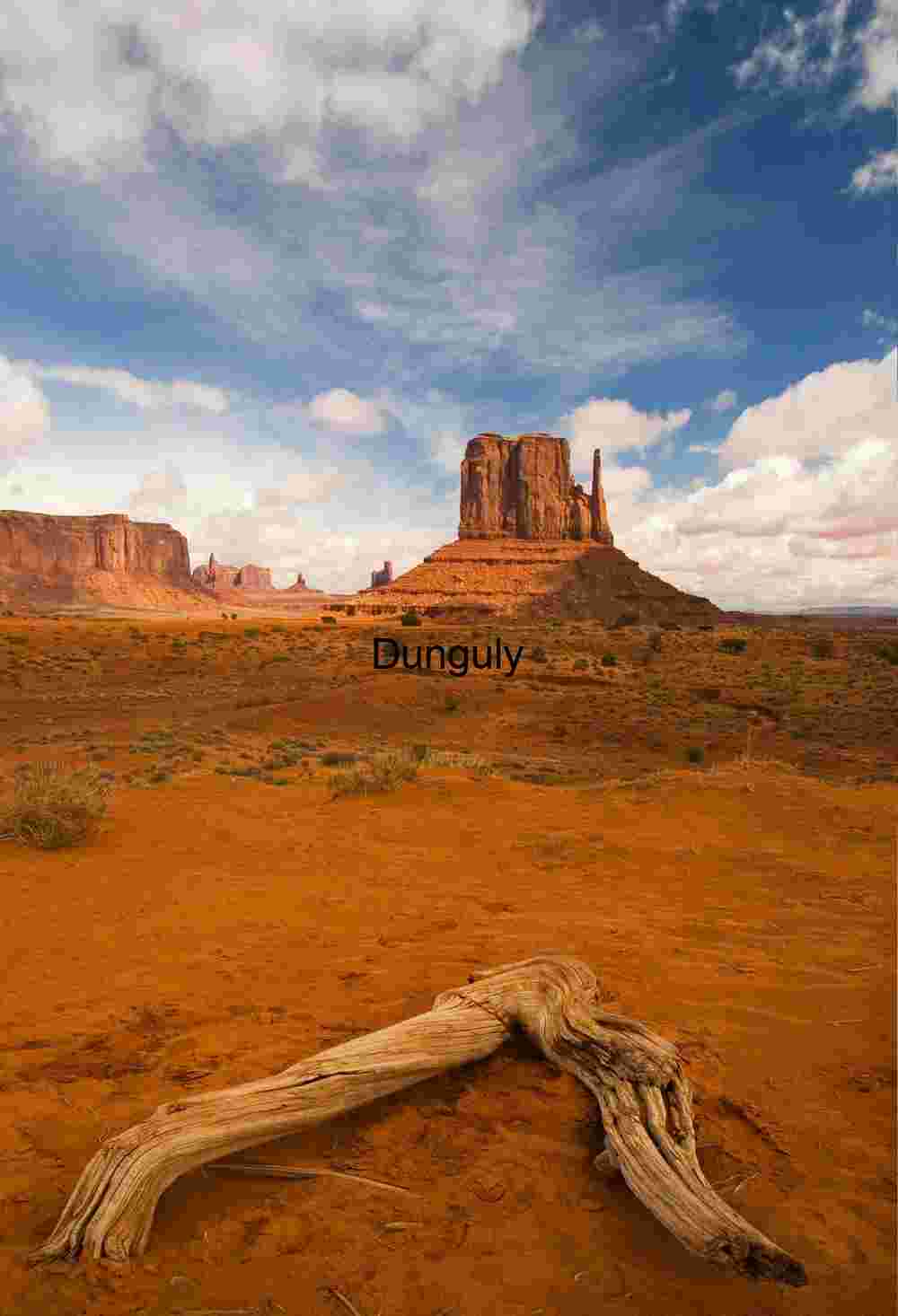 Mitten and red log rotated