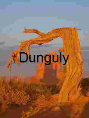 Mitten shadow framed by bent tree