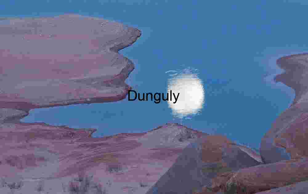 Moonrise reflection in receding water level