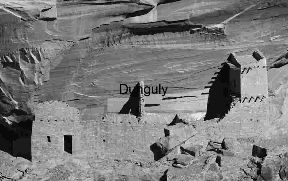White House Ruin, Cottonwood Silhouette, Canyon de Chelly