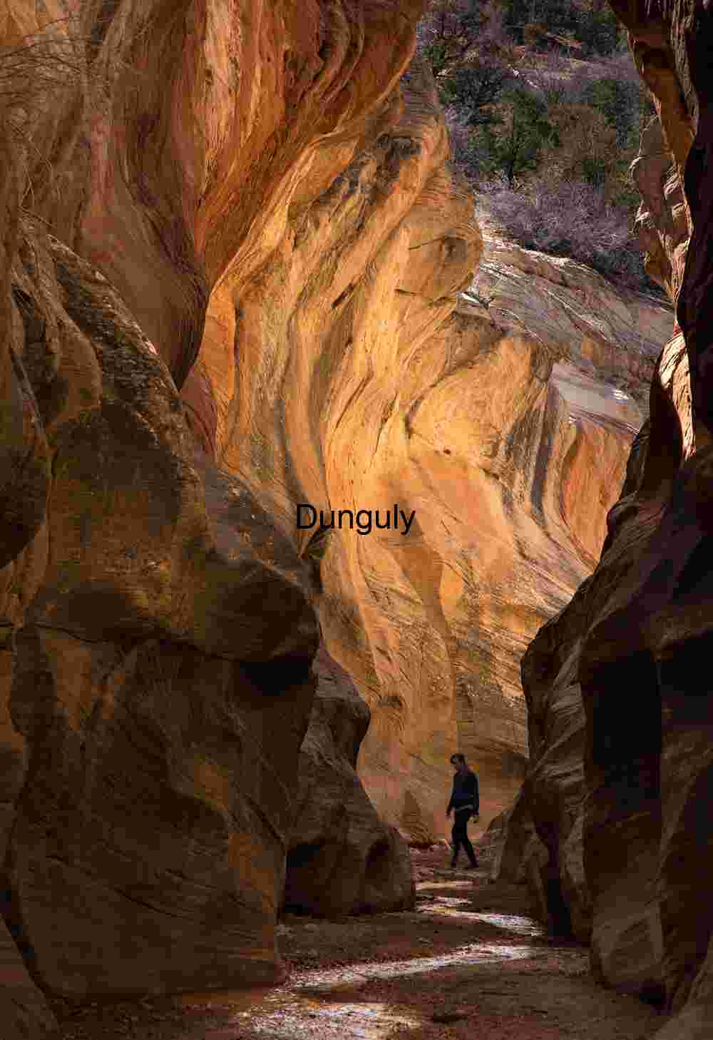 Narrows of Willis Creek Slot Canyon, Utah