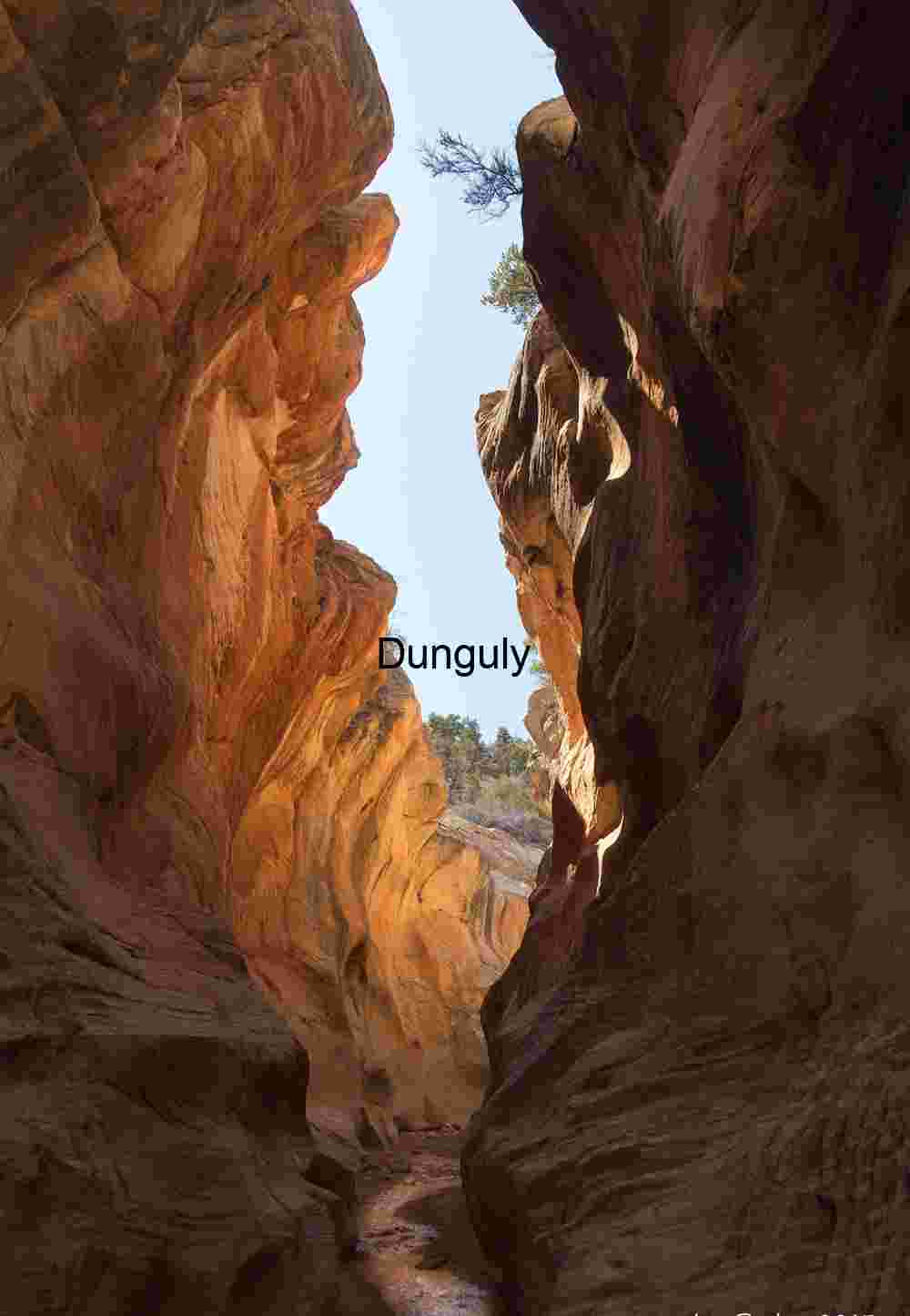 Narrows of Willis Creek | Escalante National Monument