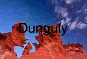 Neighbourhood gathering