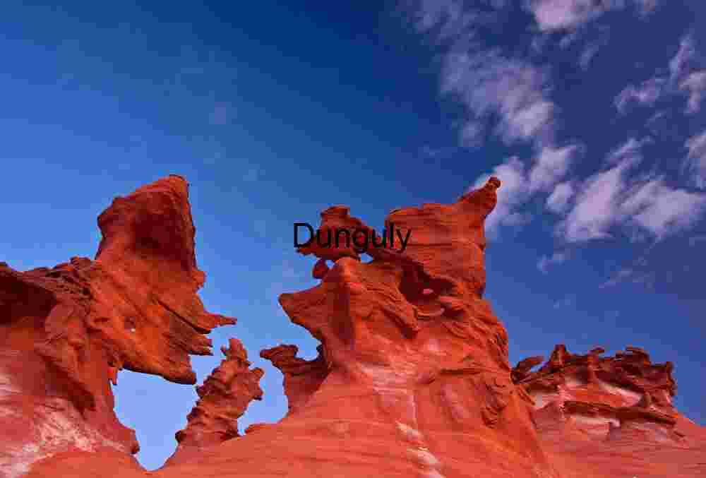 Neighbourhood gathering