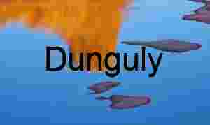 Newly emergent islands