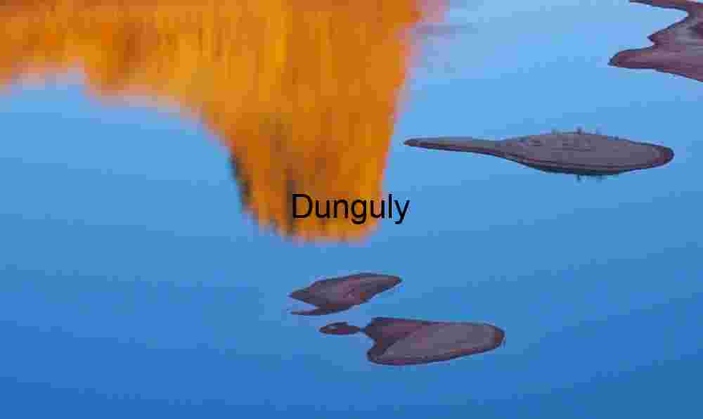 Newly emergent islands