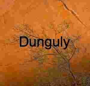 Cottonwood Branches, Orange Wall, Coyote Gulch, Utah