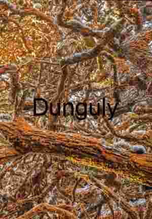 Orange Algae Tangled Cypress Branches - Point Lobos Art