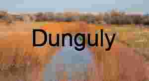 Bosque del Apache: Orange Reeds, Blue Water, New Mexico Winter