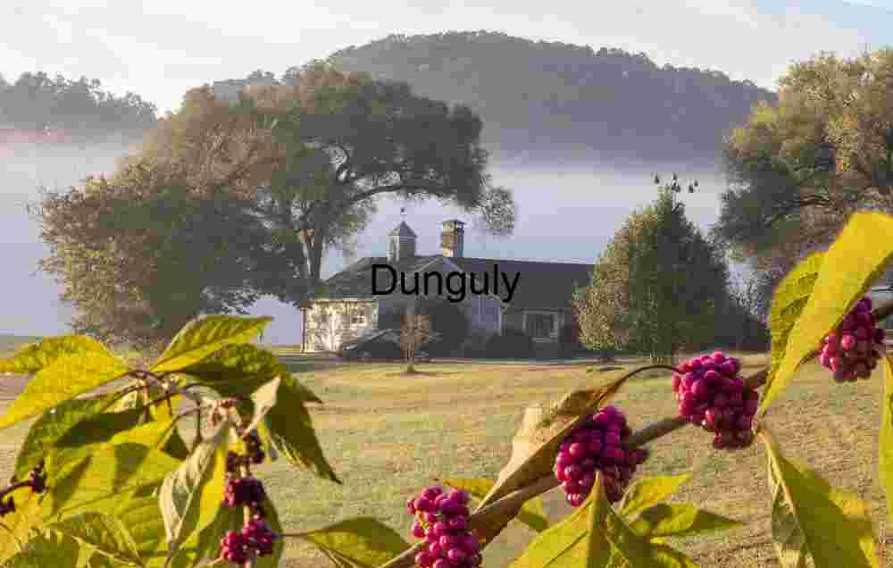 Orchard House with early morning mist; John C. Campbell Folk School