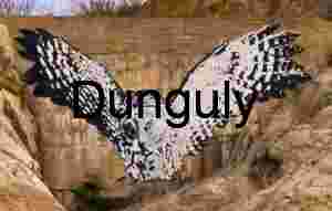 Owl painted on dam face