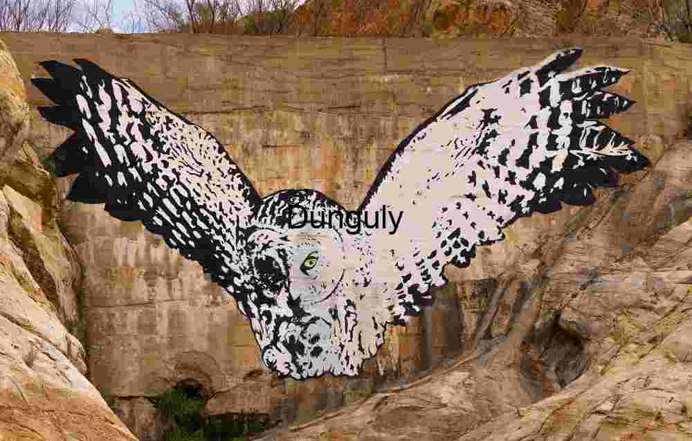 Owl painted on dam face
