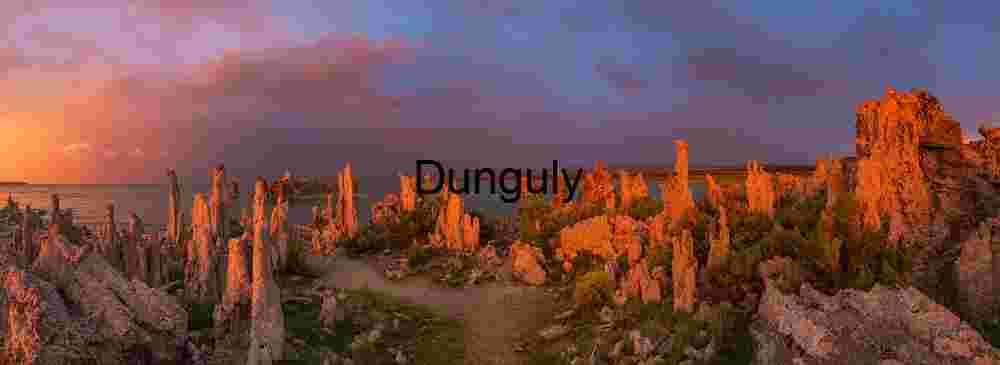 Abstract Weathered Wood Grain Close-up - Nature Texture