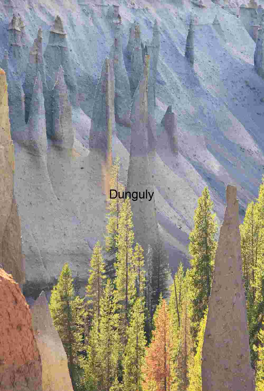 Pinnacles among pines, Crater Lake National Park