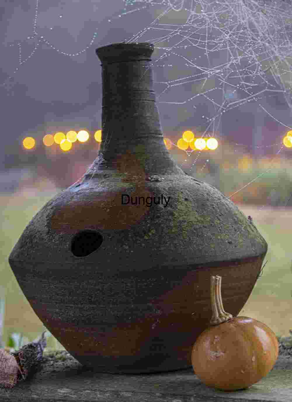 Pot, gourd and spiderweb; John C. Campbell Folk School
