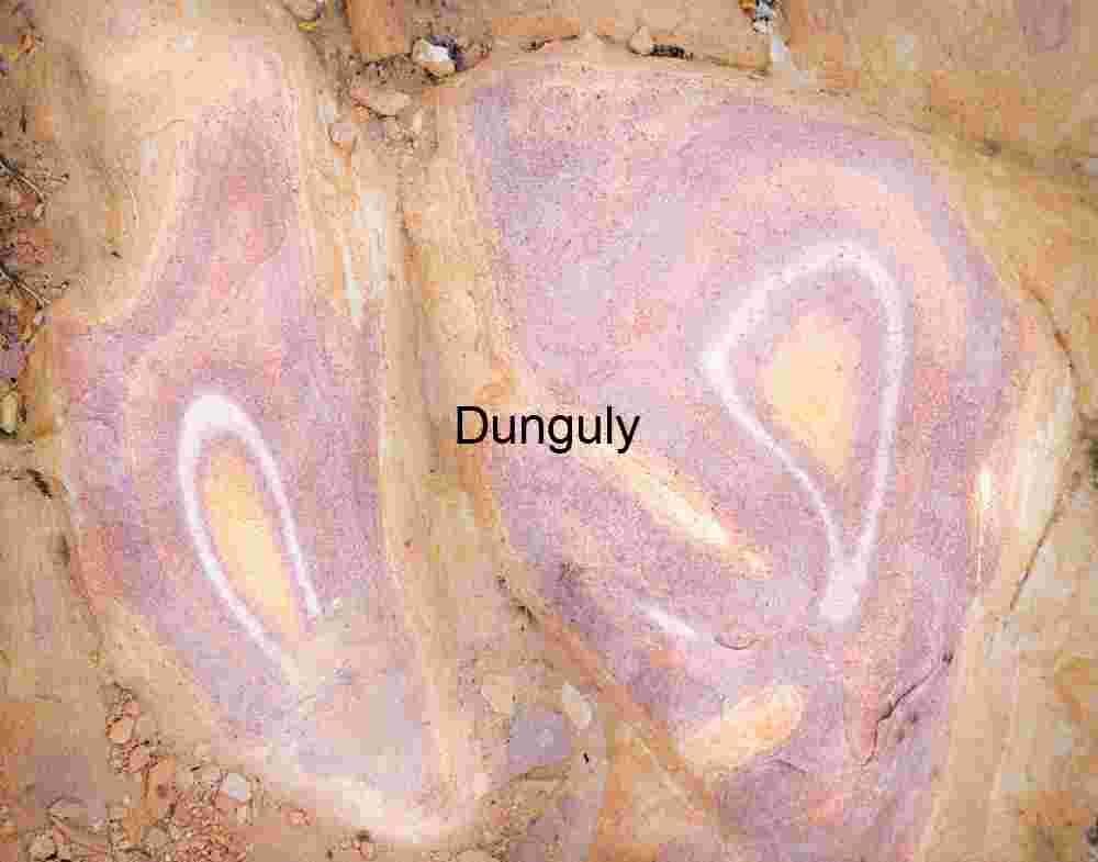 Purple eyes | Earthy Swirls & Veins