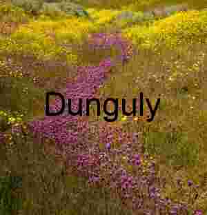Purple Wildflower Path Superbloom - Carrizo Plain Blooms