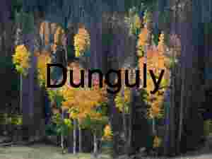 Red and yellow aspens