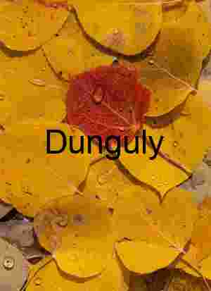 Red Hexagonal Pavement Eureka Dunes Twilight Desert