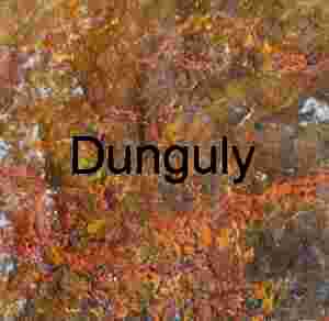 Red lichen on rock; GAP trail