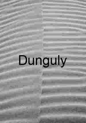 Red Aspen Leaf on Yellow Fall Foliage - Eastern Sierras