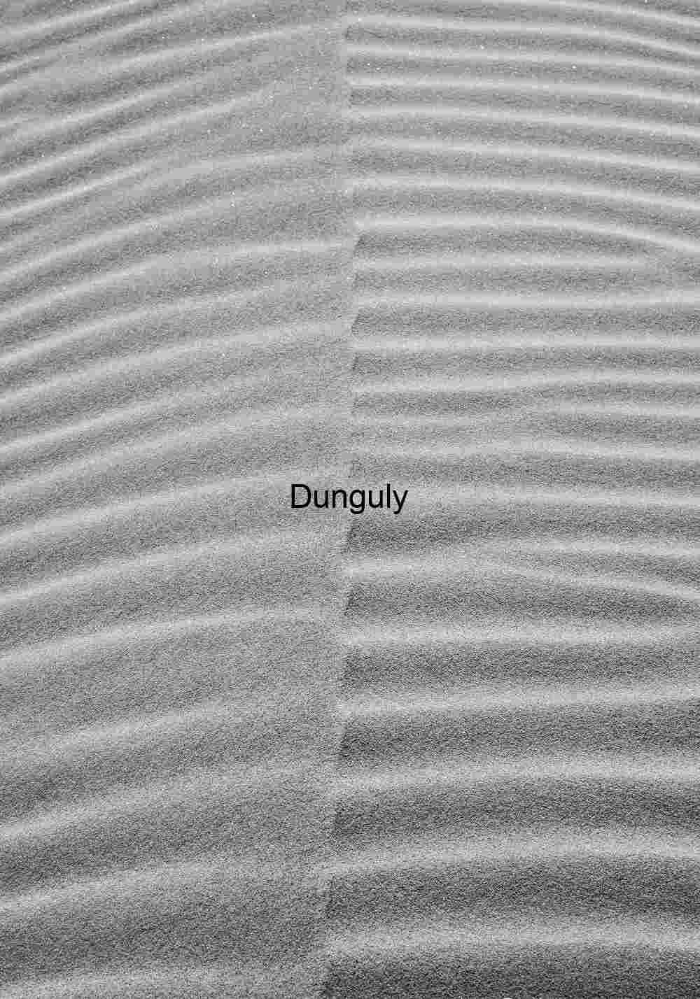 Red Aspen Leaf on Yellow Fall Foliage - Eastern Sierras