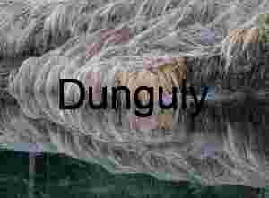 Abstract Riverbank Grass Reflection and Texture, Yosemite