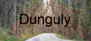 Yellow Wildflowers Road Temblor Range Superbloom Canyon