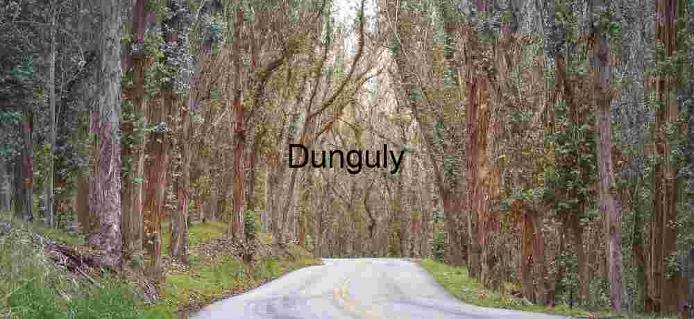 Yellow Wildflowers Road Temblor Range Superbloom Canyon