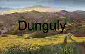 Eucalyptus Tree Tunnel Road - Montana del Oro State Park