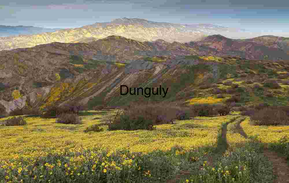 Eucalyptus Tree Tunnel Road - Montana del Oro State Park