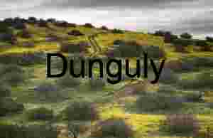 Close- Eucalyptus Tree Tunnel Road - Montana del Oro State Park