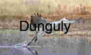 Running crane take-off