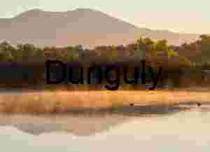 Low Angle Point Lobos Cypress Rock Lichen Study Vertical